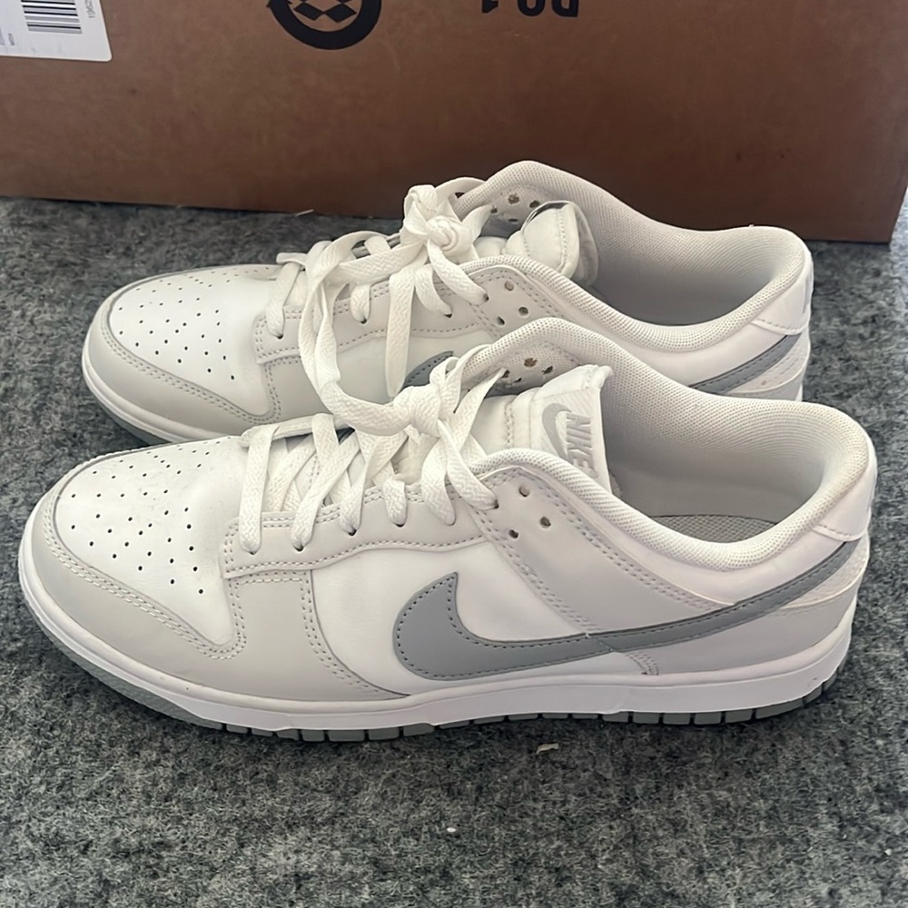 Nike low dunks men’s shoes